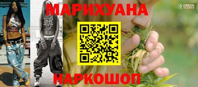 сатива Шахты