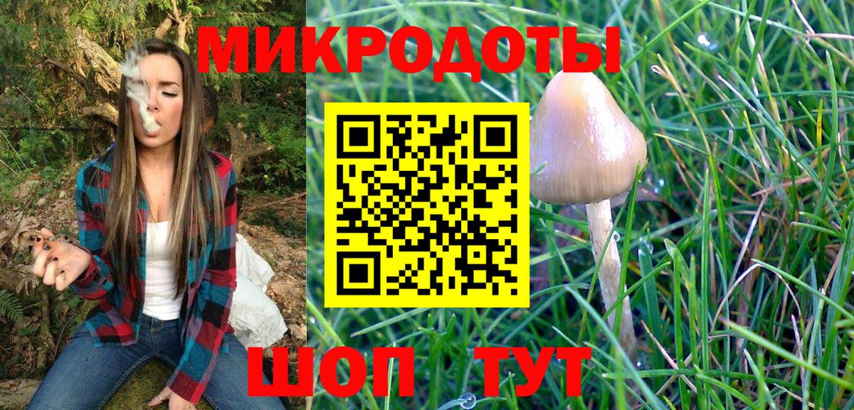 Галлюциногенные грибы прущие грибы Азнакаево