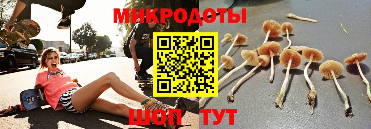 как найти   Галлюциногенные грибы Psilocybe  Вход с VPN  Азнакаево  Галлюциногенные грибы Psilocybine cubensis 