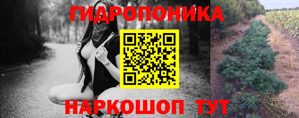 Каннабис сатива  Вход с VPN  Бошки марихуана тримм  Бошки Шишки план  Азнакаево 